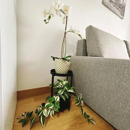 Apartment In The Heart Of Malaga Exterior photo